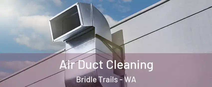 Air Duct Cleaning Bridle Trails - WA