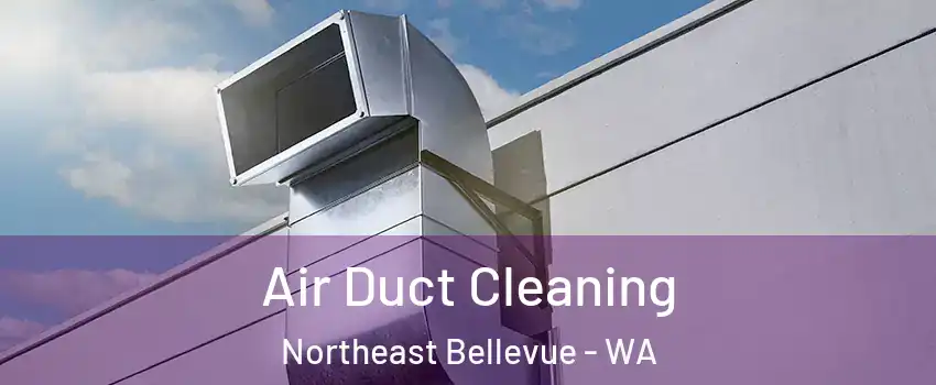 Air Duct Cleaning Northeast Bellevue - WA