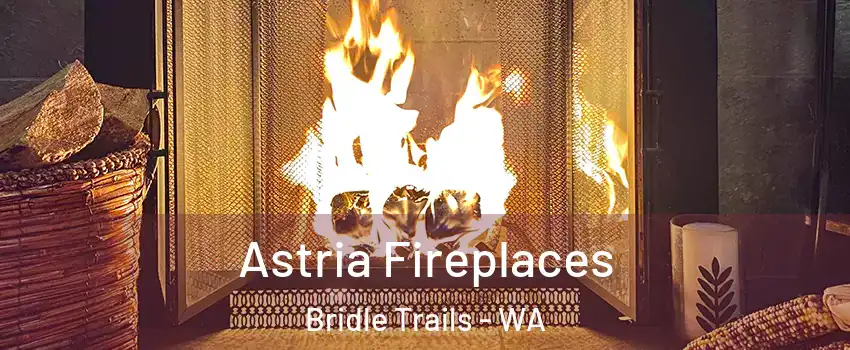 Astria Fireplaces Bridle Trails - WA