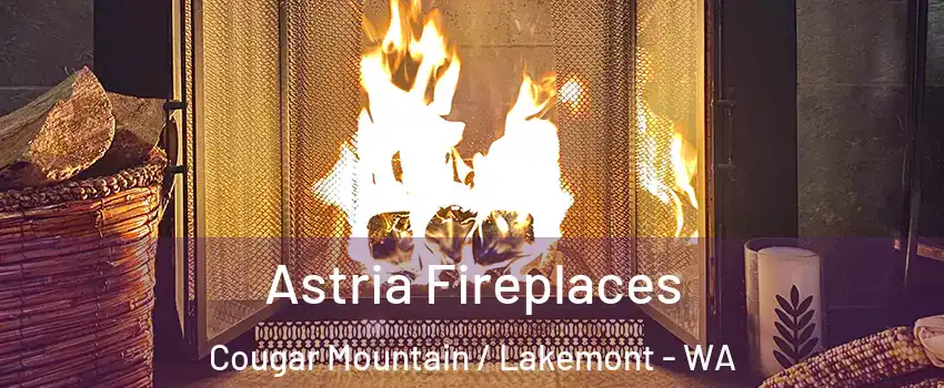 Astria Fireplaces Cougar Mountain / Lakemont - WA