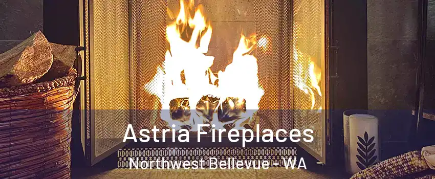 Astria Fireplaces Northwest Bellevue - WA