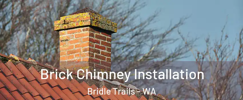 Brick Chimney Installation Bridle Trails - WA