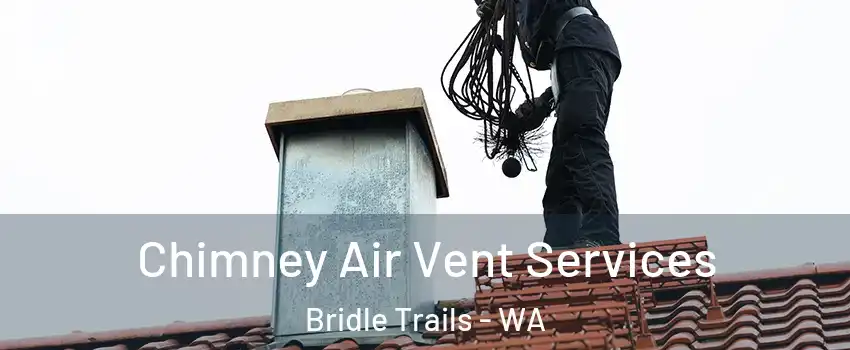 Chimney Air Vent Services Bridle Trails - WA