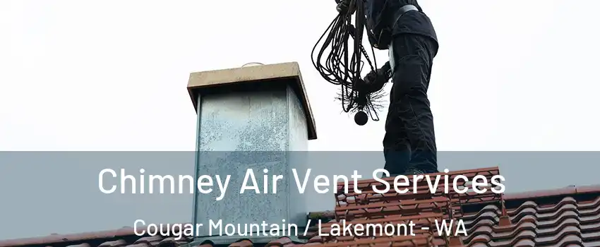 Chimney Air Vent Services Cougar Mountain / Lakemont - WA