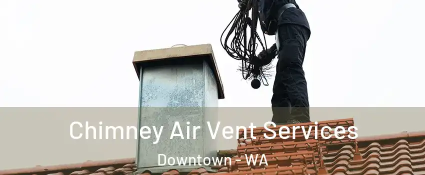 Chimney Air Vent Services Downtown - WA