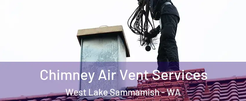 Chimney Air Vent Services West Lake Sammamish - WA