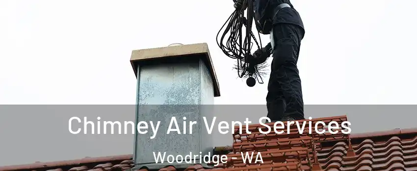 Chimney Air Vent Services Woodridge - WA