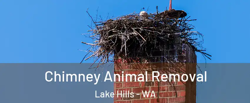 Chimney Animal Removal Lake Hills - WA