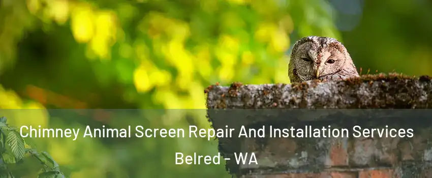 Chimney Animal Screen Repair And Installation Services Belred - WA