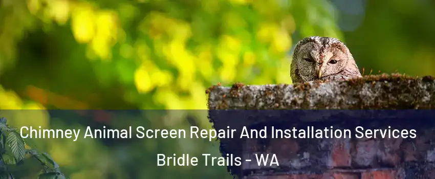 Chimney Animal Screen Repair And Installation Services Bridle Trails - WA