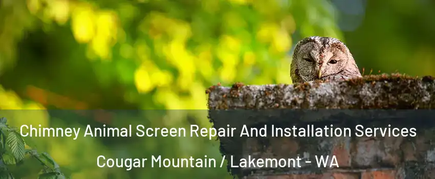 Chimney Animal Screen Repair And Installation Services Cougar Mountain / Lakemont - WA