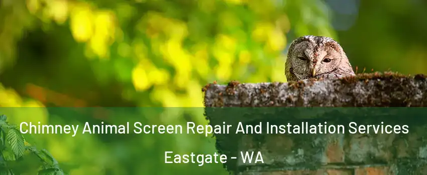 Chimney Animal Screen Repair And Installation Services Eastgate - WA