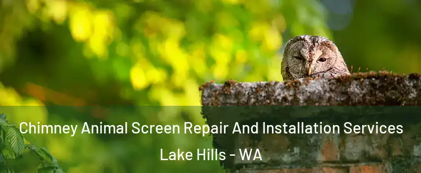 Chimney Animal Screen Repair And Installation Services Lake Hills - WA