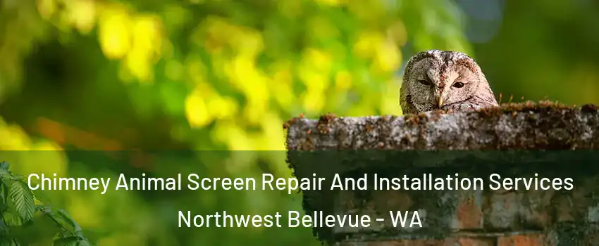 Chimney Animal Screen Repair And Installation Services Northwest Bellevue - WA