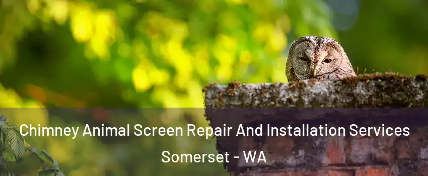 Chimney Animal Screen Repair And Installation Services Somerset - WA