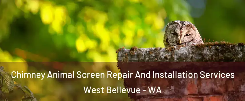 Chimney Animal Screen Repair And Installation Services West Bellevue - WA