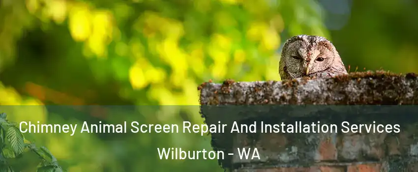 Chimney Animal Screen Repair And Installation Services Wilburton - WA