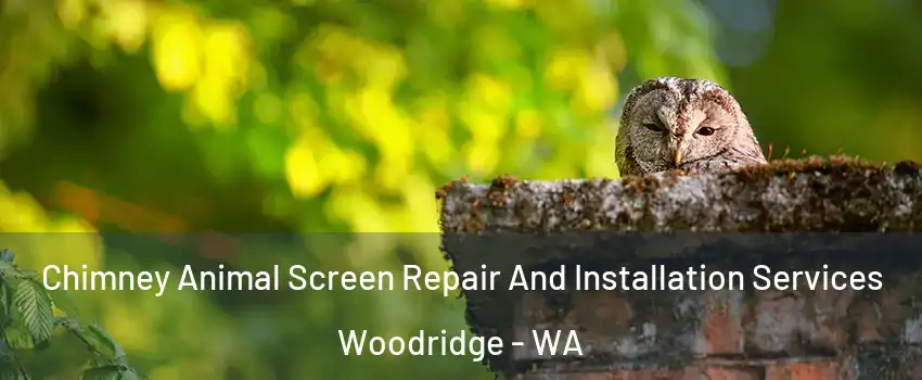 Chimney Animal Screen Repair And Installation Services Woodridge - WA