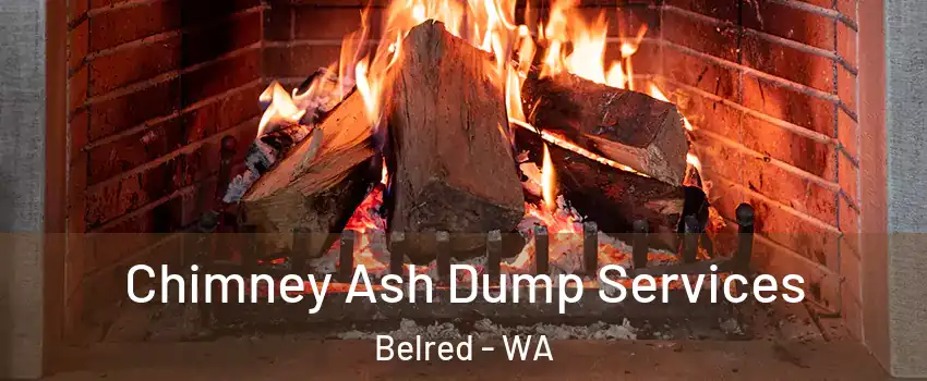 Chimney Ash Dump Services Belred - WA