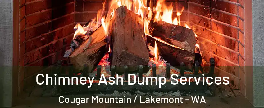 Chimney Ash Dump Services Cougar Mountain / Lakemont - WA