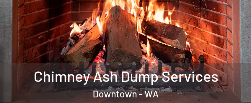 Chimney Ash Dump Services Downtown - WA