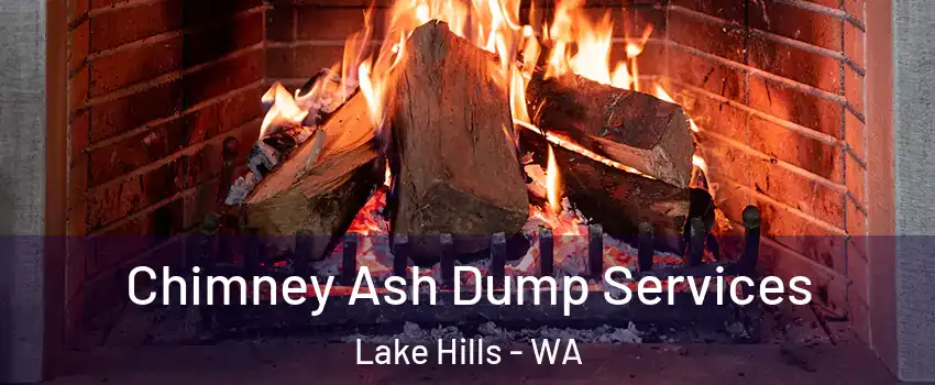 Chimney Ash Dump Services Lake Hills - WA