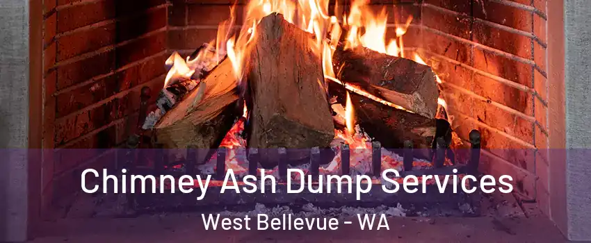 Chimney Ash Dump Services West Bellevue - WA