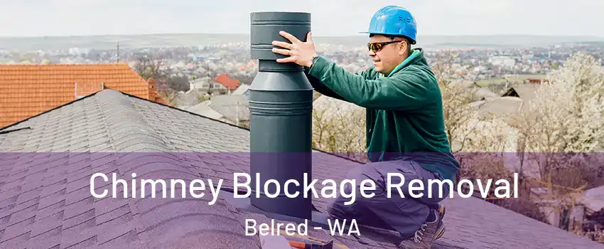 Chimney Blockage Removal Belred - WA