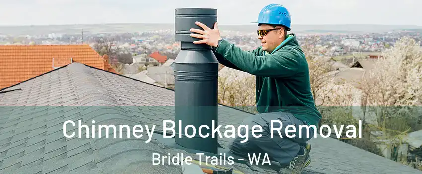 Chimney Blockage Removal Bridle Trails - WA