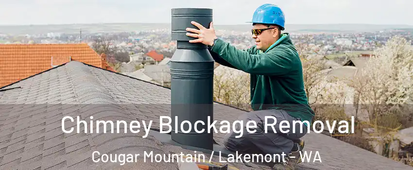 Chimney Blockage Removal Cougar Mountain / Lakemont - WA