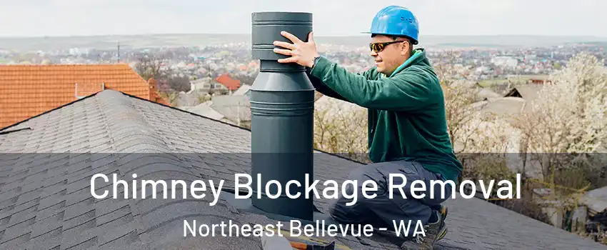 Chimney Blockage Removal Northeast Bellevue - WA