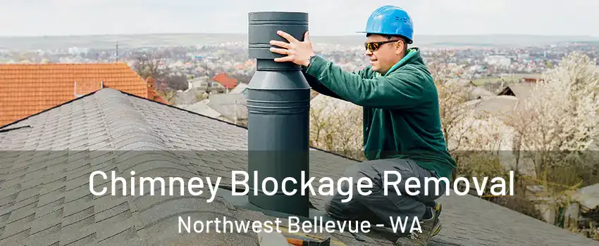 Chimney Blockage Removal Northwest Bellevue - WA