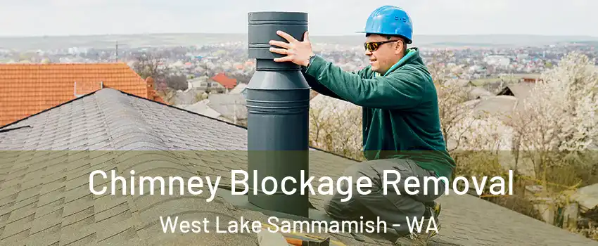 Chimney Blockage Removal West Lake Sammamish - WA