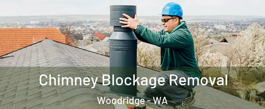 Chimney Blockage Removal Woodridge - WA