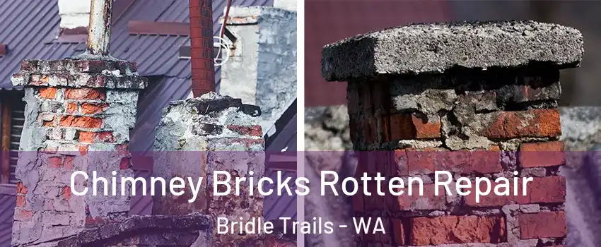 Chimney Bricks Rotten Repair Bridle Trails - WA