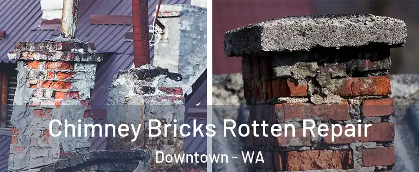 Chimney Bricks Rotten Repair Downtown - WA