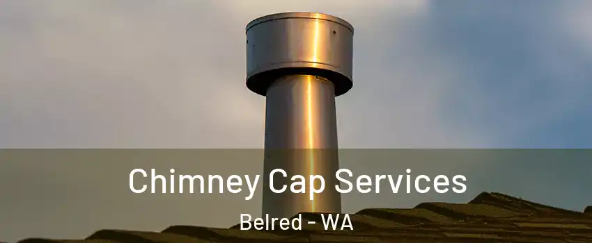 Chimney Cap Services Belred - WA