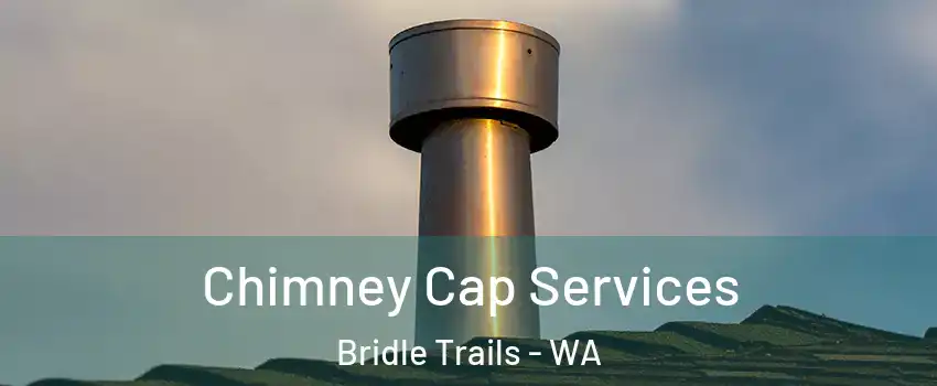 Chimney Cap Services Bridle Trails - WA