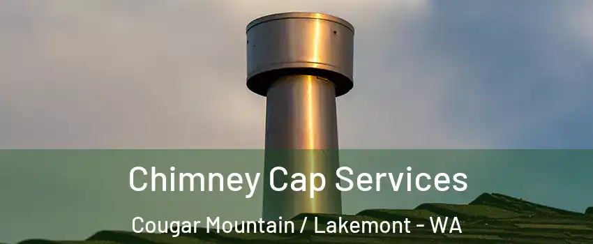 Chimney Cap Services Cougar Mountain / Lakemont - WA