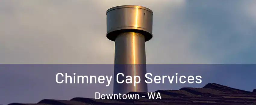 Chimney Cap Services Downtown - WA