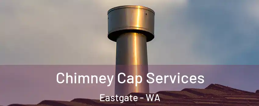 Chimney Cap Services Eastgate - WA