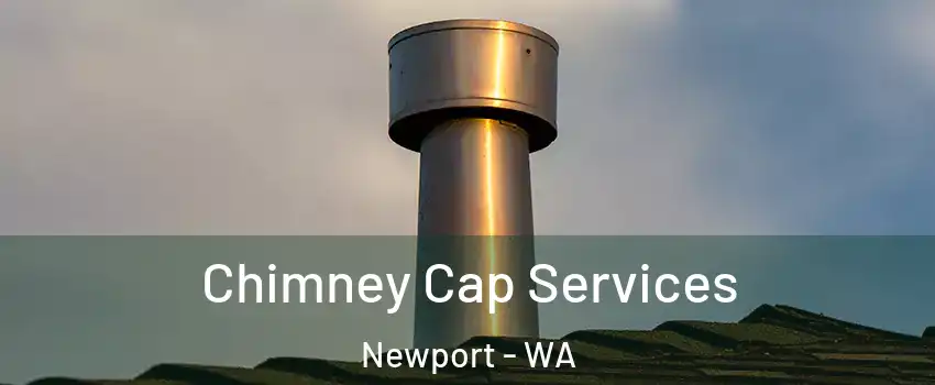 Chimney Cap Services Newport - WA