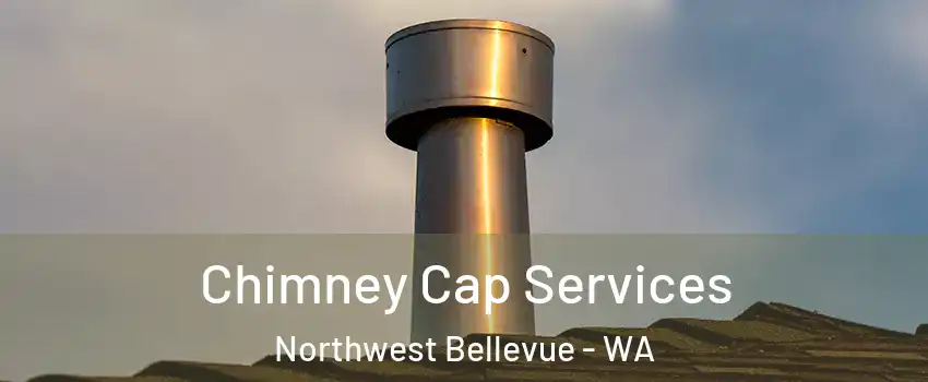 Chimney Cap Services Northwest Bellevue - WA