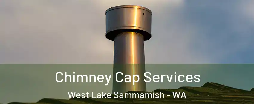 Chimney Cap Services West Lake Sammamish - WA