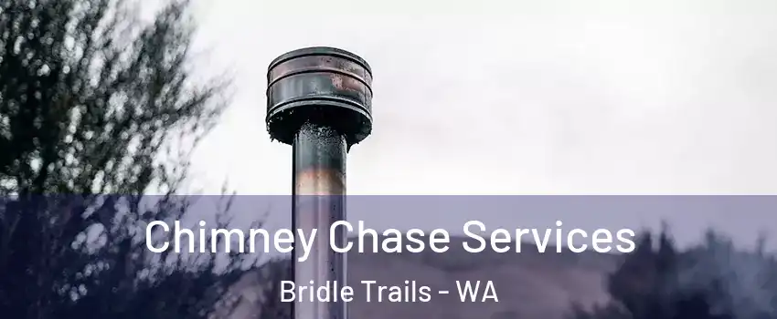 Chimney Chase Services Bridle Trails - WA