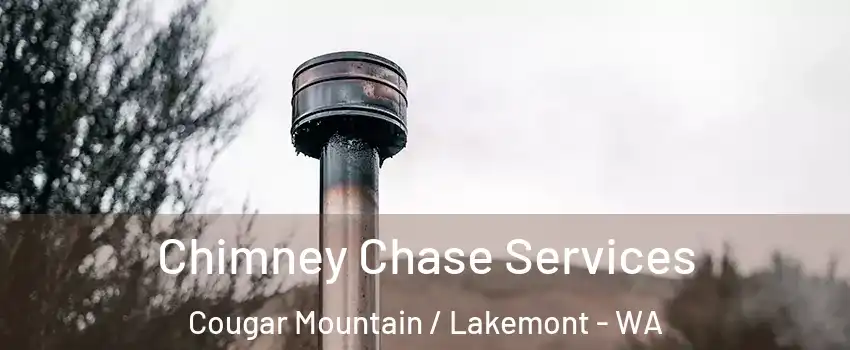 Chimney Chase Services Cougar Mountain / Lakemont - WA