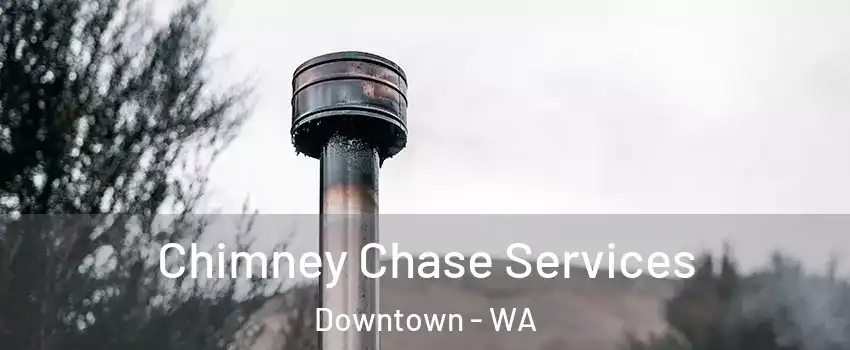 Chimney Chase Services Downtown - WA