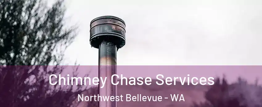 Chimney Chase Services Northwest Bellevue - WA