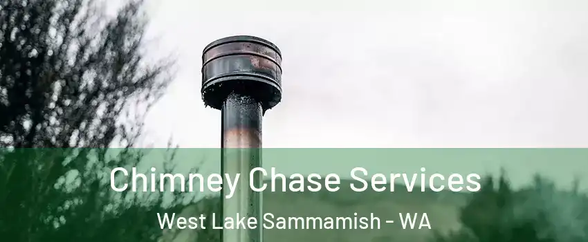 Chimney Chase Services West Lake Sammamish - WA