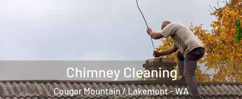 Chimney Cleaning Cougar Mountain / Lakemont - WA